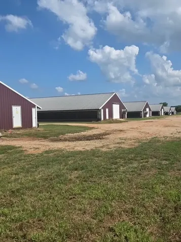 7421 Cr 234 Nacogdoches TX 75961