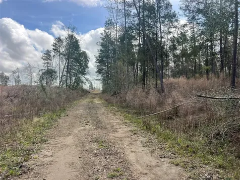 Tbd Three Bridges Road Livingston TX 77351