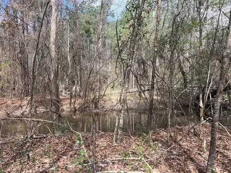 Tbd Three Bridges Road Livingston TX 77351