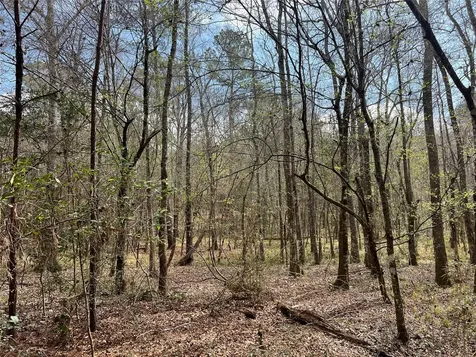 Tbd Three Bridges Road Livingston TX 77351