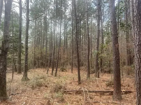 Tbd Three Bridges Road Livingston TX 77351