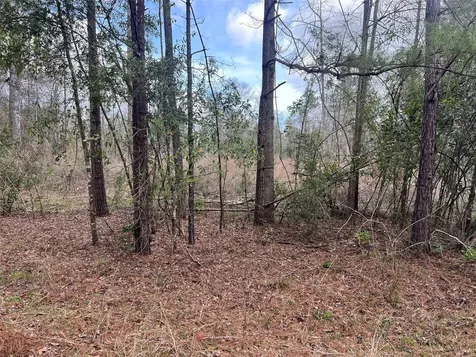 Tbd Three Bridges Road Livingston TX 77351