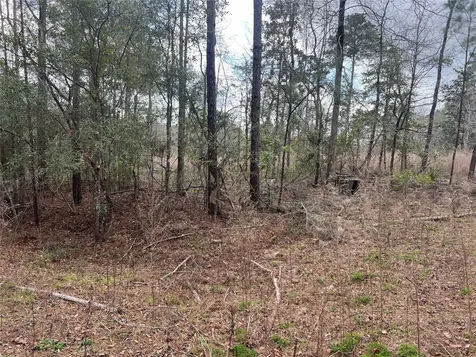 Tbd Three Bridges Road Livingston TX 77351