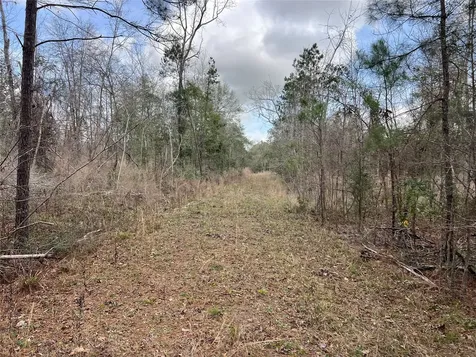Tbd Three Bridges Road Livingston TX 77351