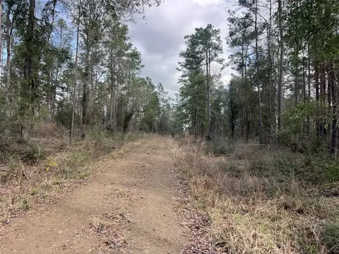 Tbd Three Bridges Road Livingston TX 77351