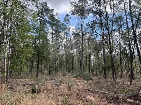 Tbd Three Bridges Road Livingston TX 77351