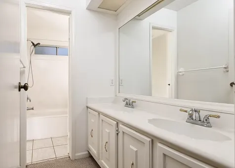35 Berryfrost Lane The Woodlands TX 77380