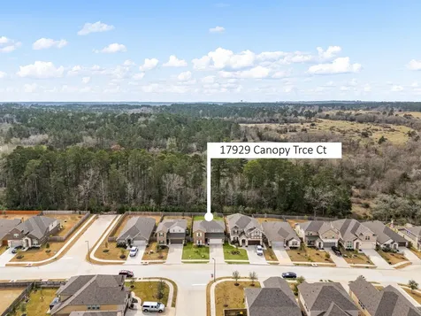 17929 Canopy Trace Court Conroe TX 77316