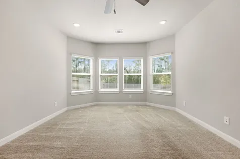 17929 Canopy Trace Court Conroe TX 77316