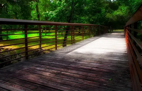 22 Classic Oaks The Woodlands TX 77382