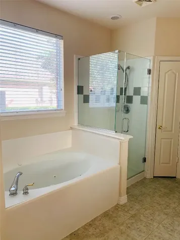 2516 Brittany Lakes Drive League City TX 77573