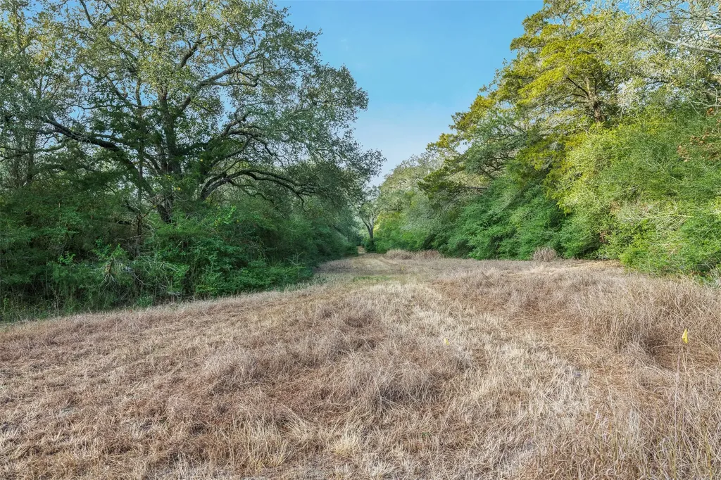 1200 West State Highway 71 Bypass La Grange TX 78945