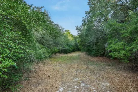 1200 West State Highway 71 Bypass La Grange TX 78945