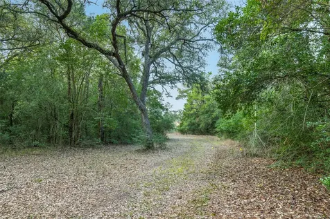1200 West State Highway 71 Bypass La Grange TX 78945