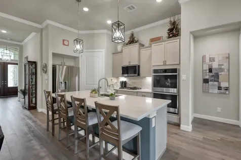 106 Gray Vervain Court Montgomery TX 77316
