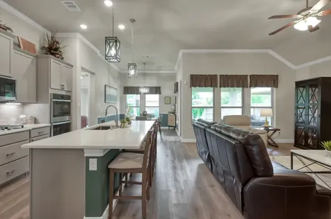 106 Gray Vervain Court Montgomery TX 77316