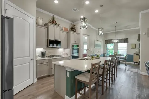 106 Gray Vervain Court Montgomery TX 77316