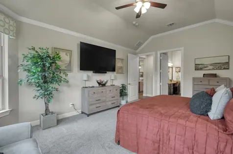 106 Gray Vervain Court Montgomery TX 77316