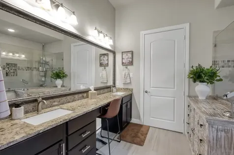 106 Gray Vervain Court Montgomery TX 77316