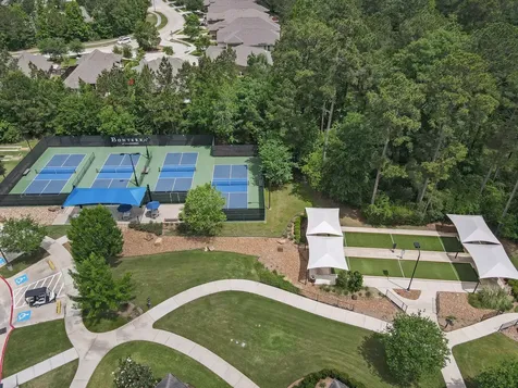 106 Gray Vervain Court Montgomery TX 77316