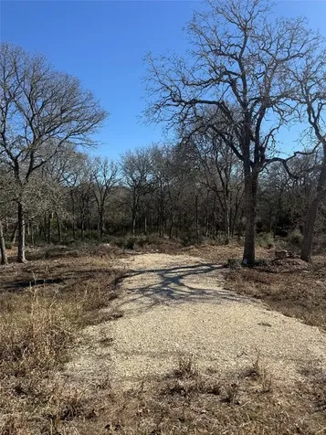 115 Deep Woods Court Cedar Creek TX 78612