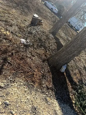115 Deep Woods Court Cedar Creek TX 78612