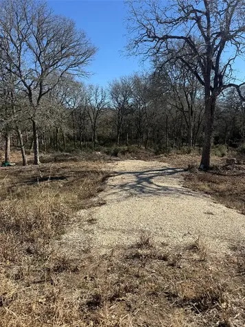 115 Deep Woods Court Cedar Creek TX 78612