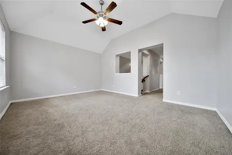 3910 Lupin Bush Lane Manvel TX 77578