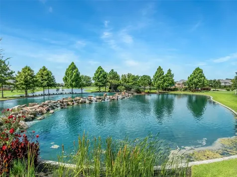 3910 Lupin Bush Lane Manvel TX 77578