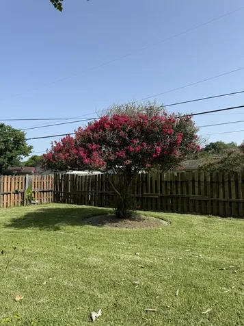427 22nd Avenue N Texas City TX 77590