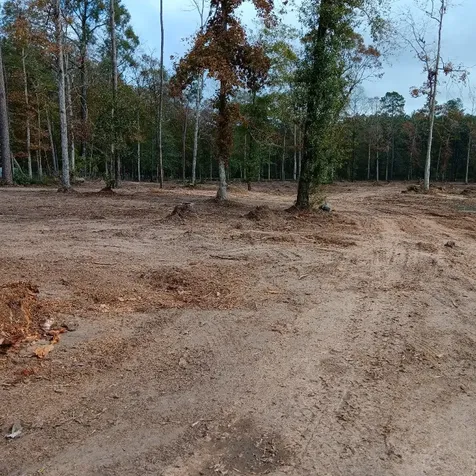 Lot 22 Plum Pudding Road Livingston TX 77351