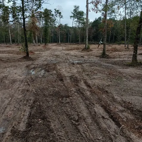 Lot 22 Plum Pudding Road Livingston TX 77351