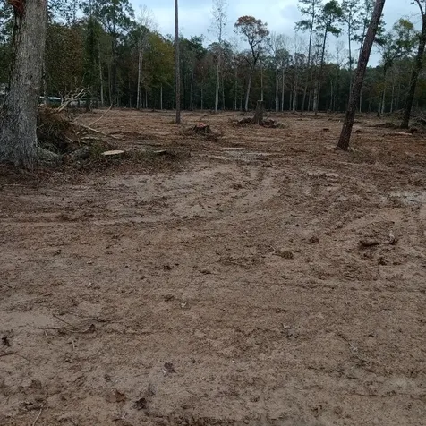 Lot 22 Plum Pudding Road Livingston TX 77351