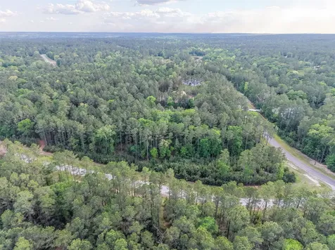 411 Sundog Road Huntsville TX 77340