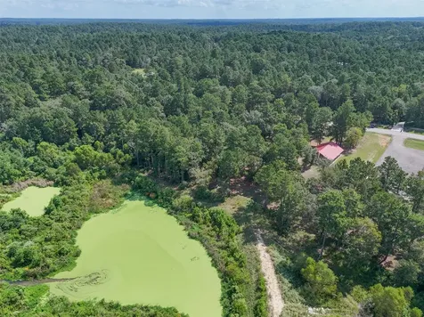 411 Sundog Road Huntsville TX 77340