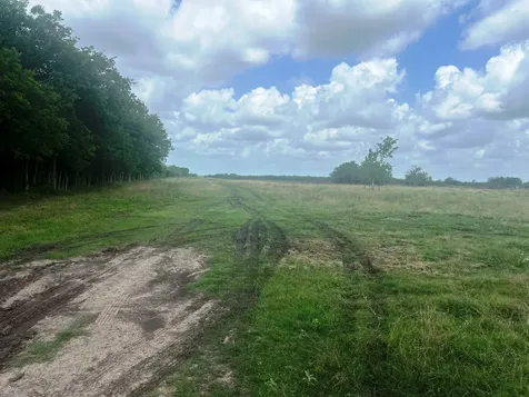 8925 Kerr Road Pattison TX 77423