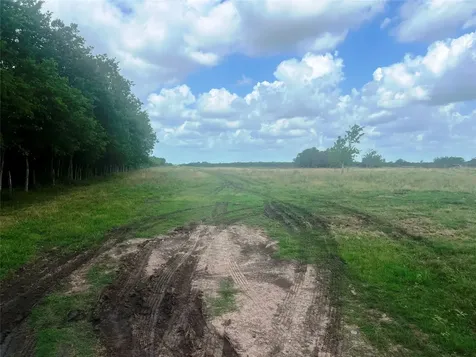8925 Kerr Road Pattison TX 77423