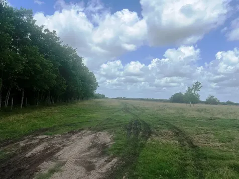 8925 Kerr Road Pattison TX 77423