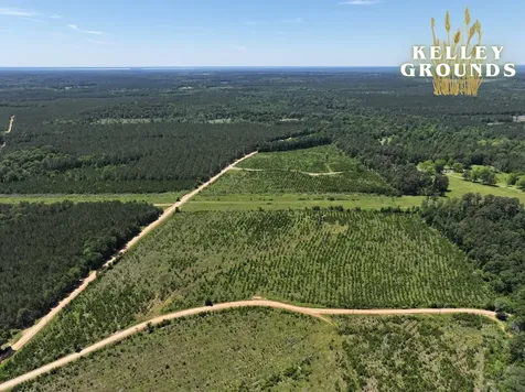 1-2 Kelley Road Livingston TX 77351