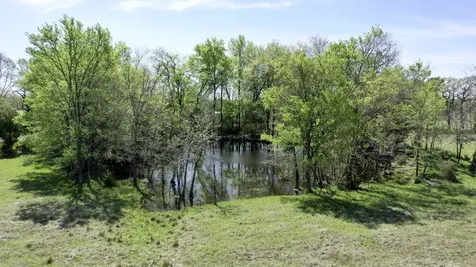 6 Ac Fm 3091 Madisonville TX 77864