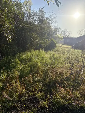 1826 Dewalt Street Houston TX 77088