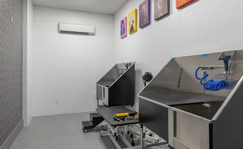 170 Malone Street 3107 Houston TX 77007