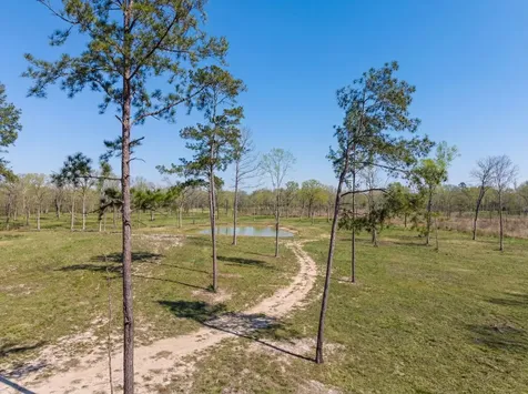 Lot 6 Johnson Drive Livingston TX 77351