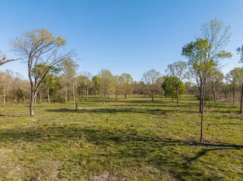 Lot 6 Johnson Drive Livingston TX 77351