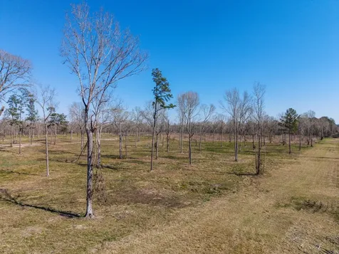 Lot 6 Johnson Drive Livingston TX 77351