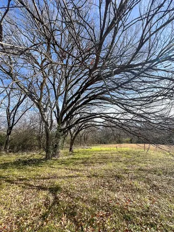 203 SW 4th Street Hubbard TX 76648