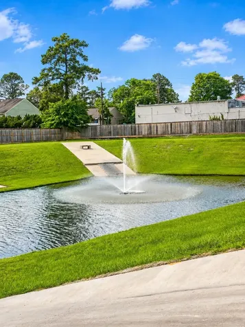 4814 Pecan Arbor Lane Houston TX 77069