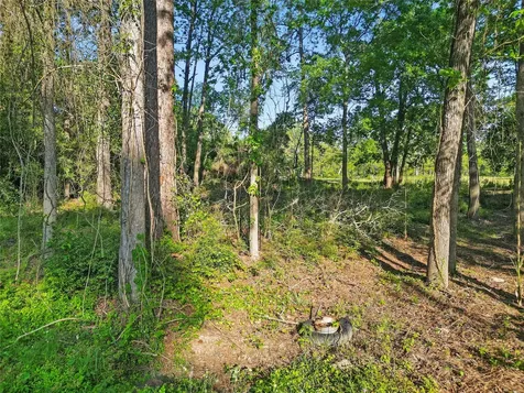 Tbd Skylane Drive Montgomery TX 77316