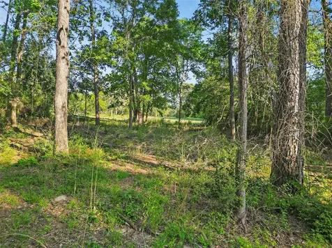 Tbd Skylane Drive Montgomery TX 77316
