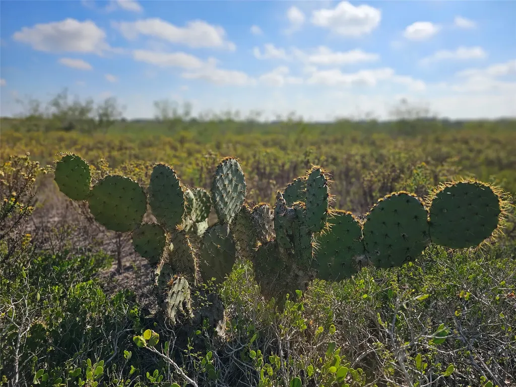 0 San Jose Ranch Road San Benito TX 78586